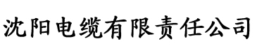 橙子视频最新官网电缆厂logo